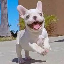 Fundraising Page: Kim Domokos